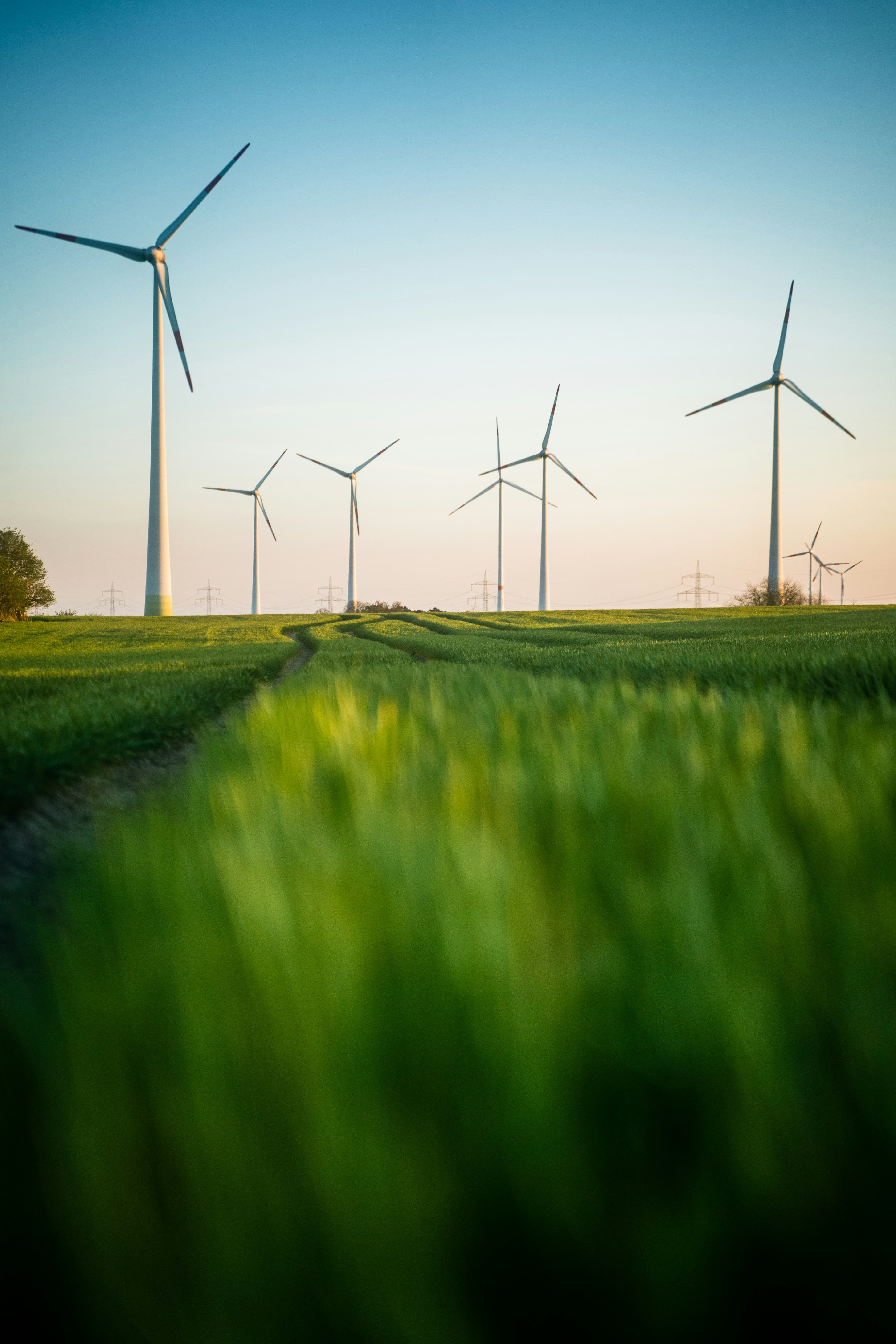 Wind turbines on green fields in Scotland